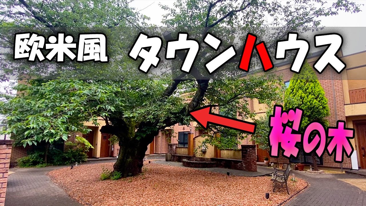 【世田谷区】豪邸のようなタウンハウス　大型犬も可