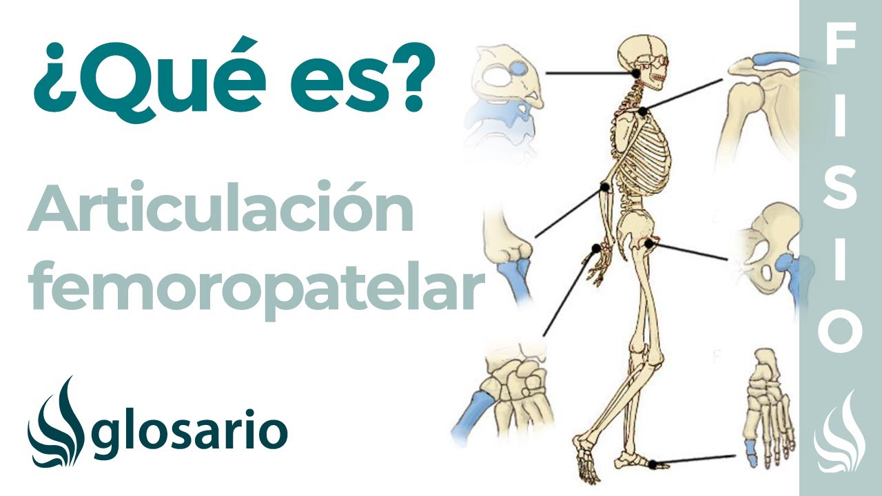 Articulación FEMOROPATELAR | Qué es, ubicación, movimientos y lesiones