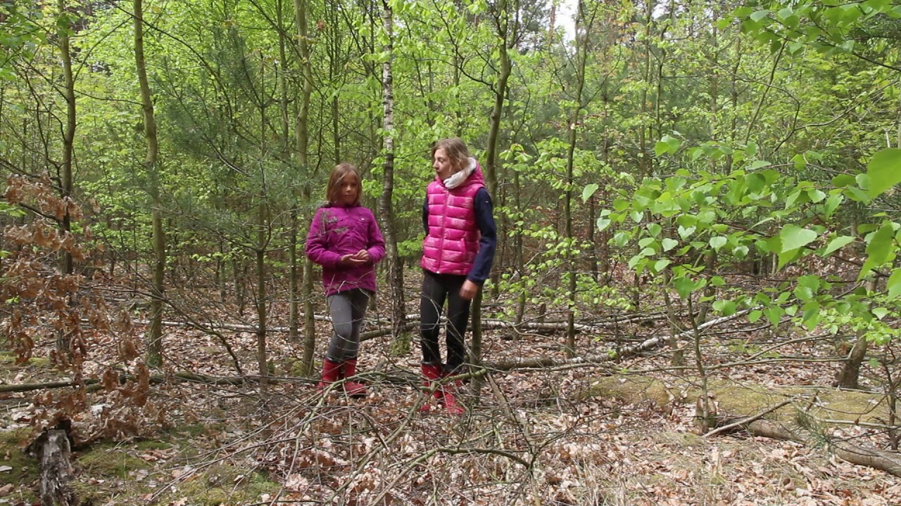 Waldumbau der Obermühle Gottsdorf, NEW, Mit Piep unserer Wildgans!