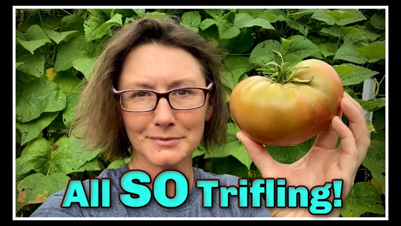 Nasty TROLLS & Trifling MAMAS