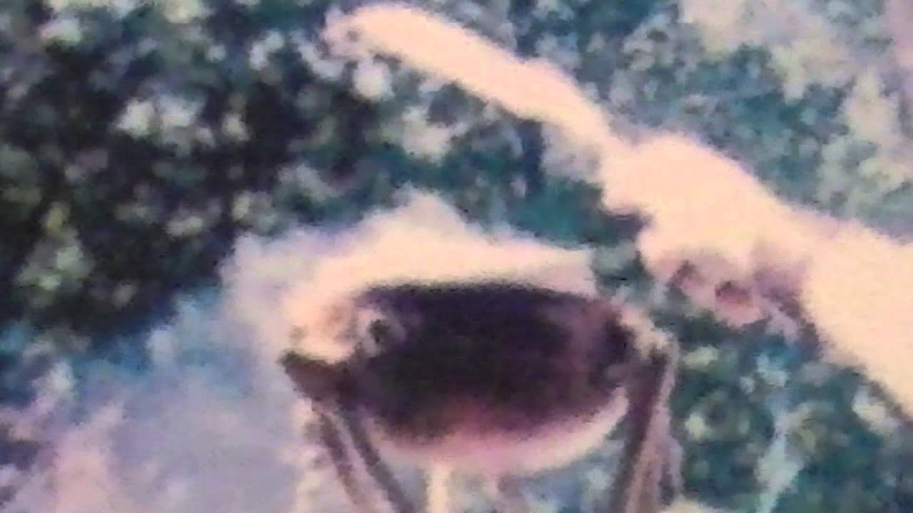 Taino Ara Chant to the Directions
