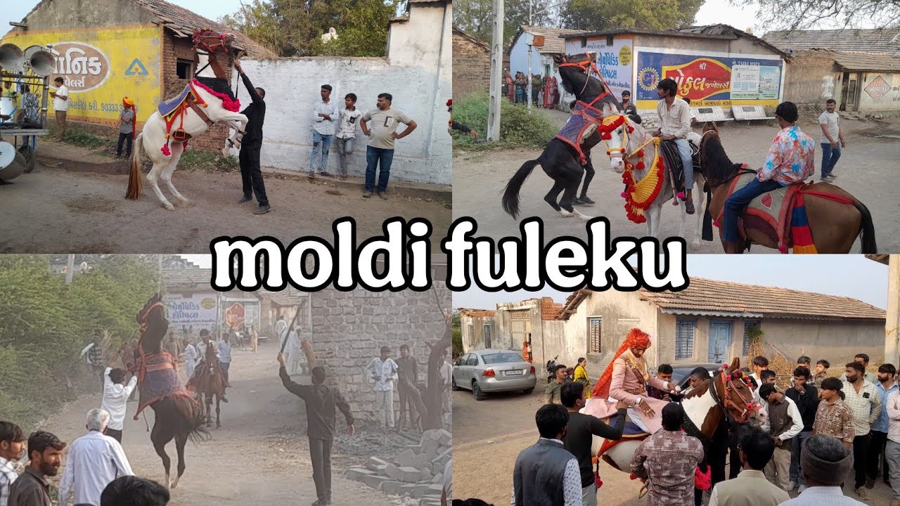Moladi gam fuleku | મોલડી  ગામ નુ ફુલેકુ #viral #vlog #fuleku #horse 