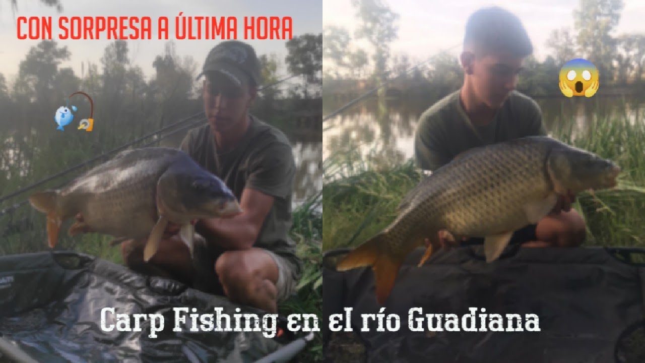 Carp Fishing en Guadiana final inesperado con Juanma👀👀🎣💪🏻