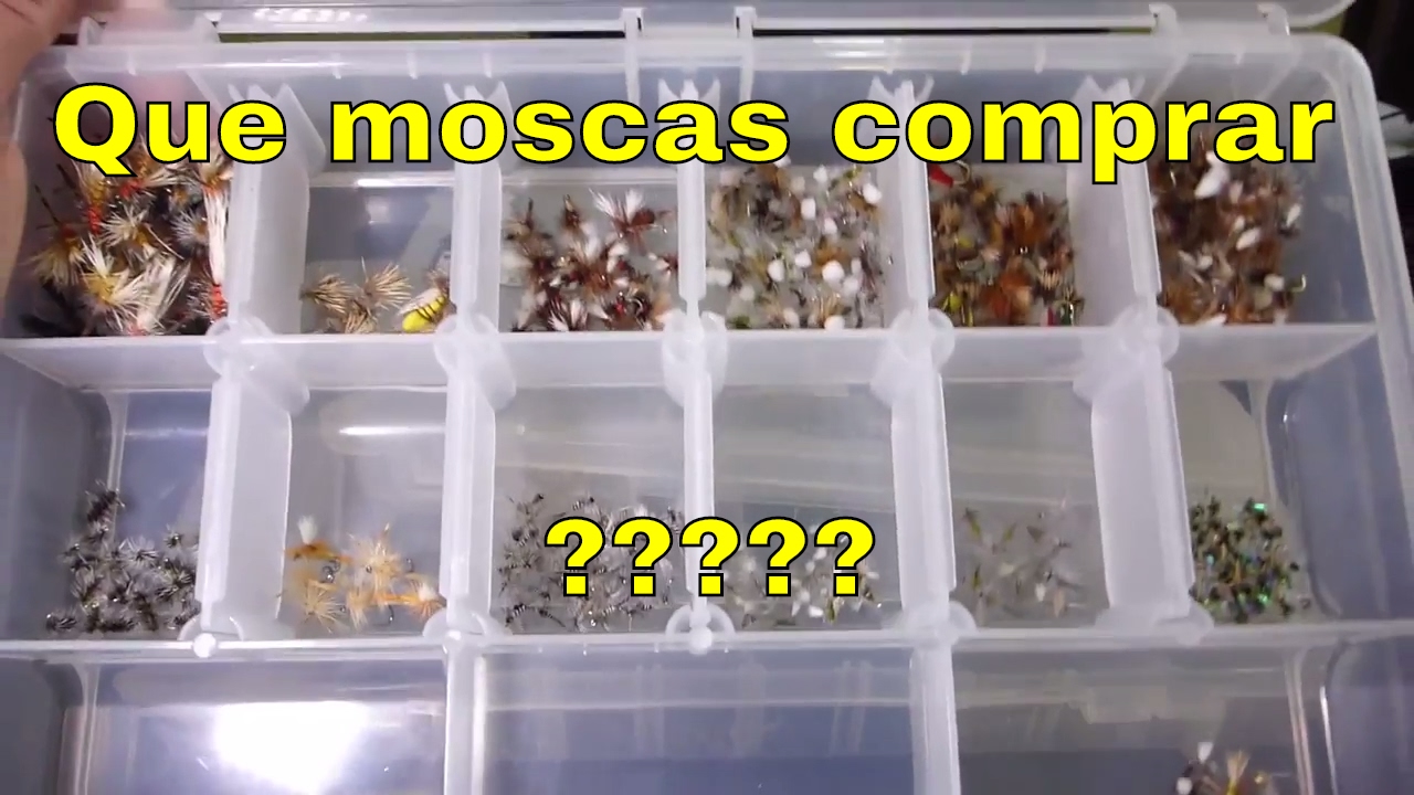 Que moscas comprar para la pesca con mosca