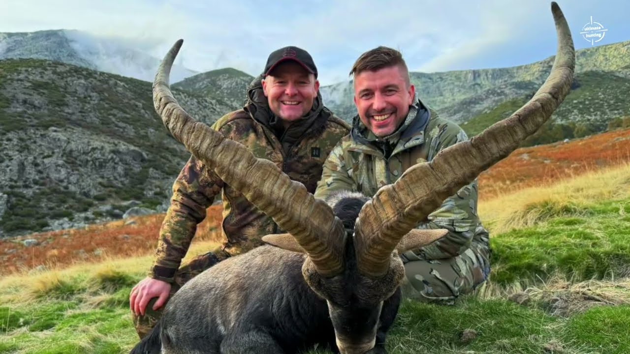 Polowanie na koziorożce w Hiszpanii: Gredos, Ronda, SE Ibex hunt in Spain with UltimateHunting.pl