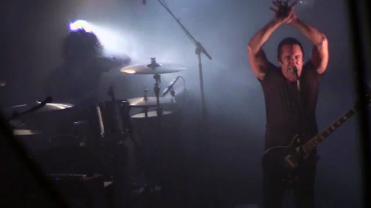 12. Reptile - 