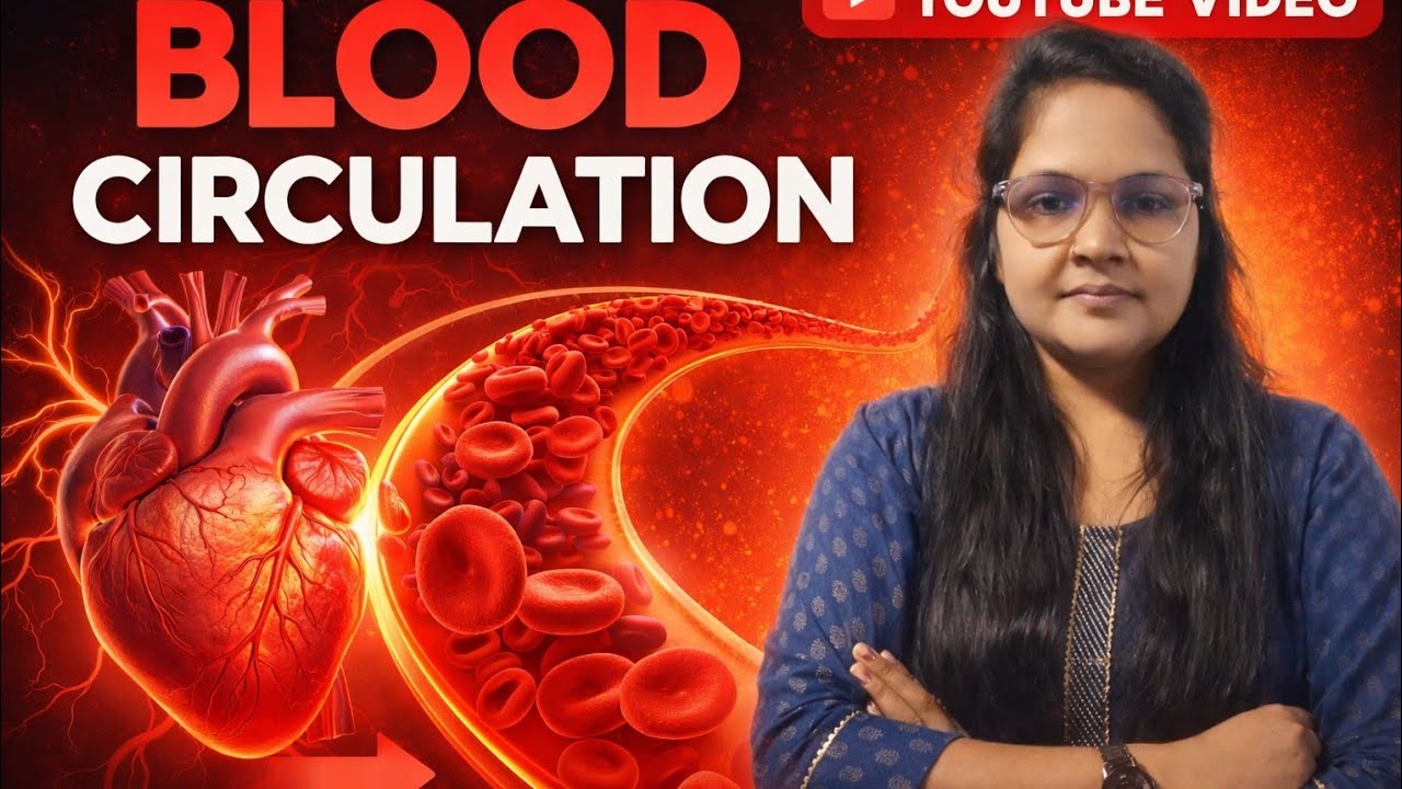 🔴 Blood Circulation in Human Body 