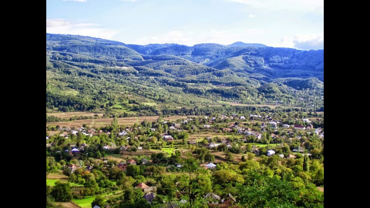 закарпатський Увиванець