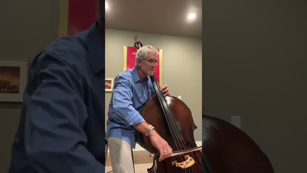 Double bass excerpt from Mahler 3, 1st mov't