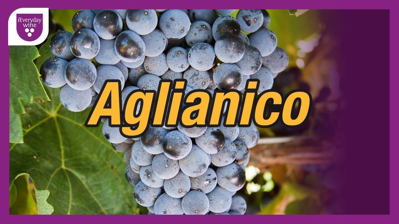 Aglianico 🍇 #ieverydaywine