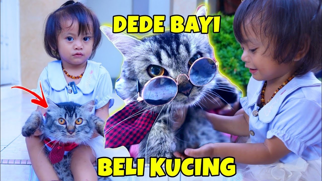 DEDE BAYI BELI KUCING LUCU | CHIKAKU FAMILY