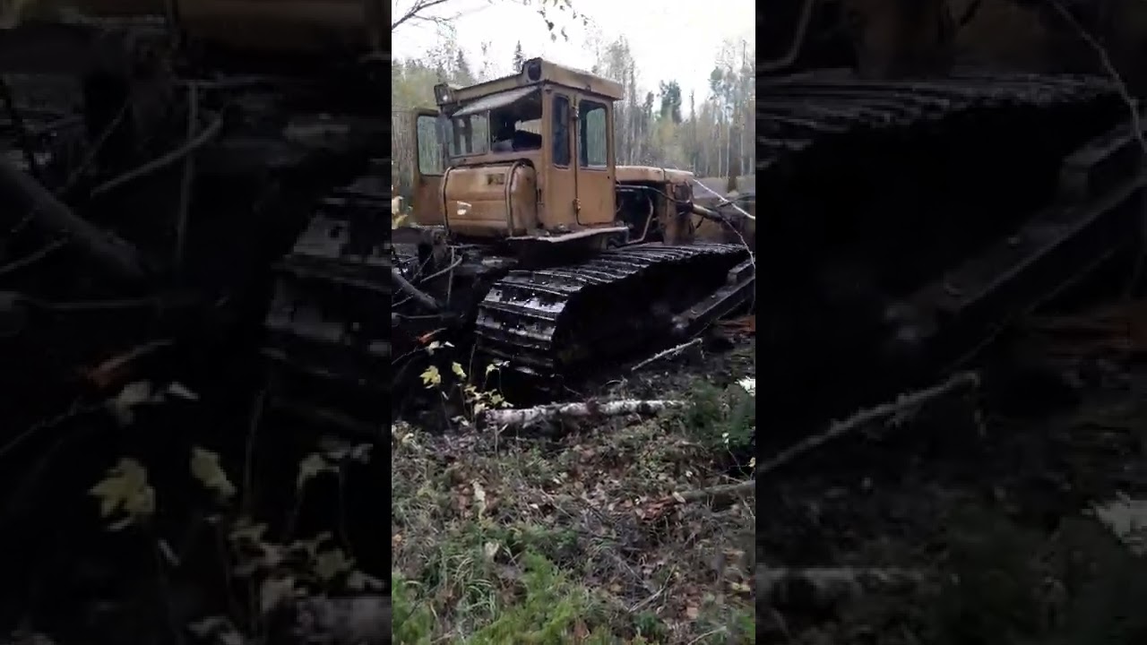 т170 работа на заболоченом участке