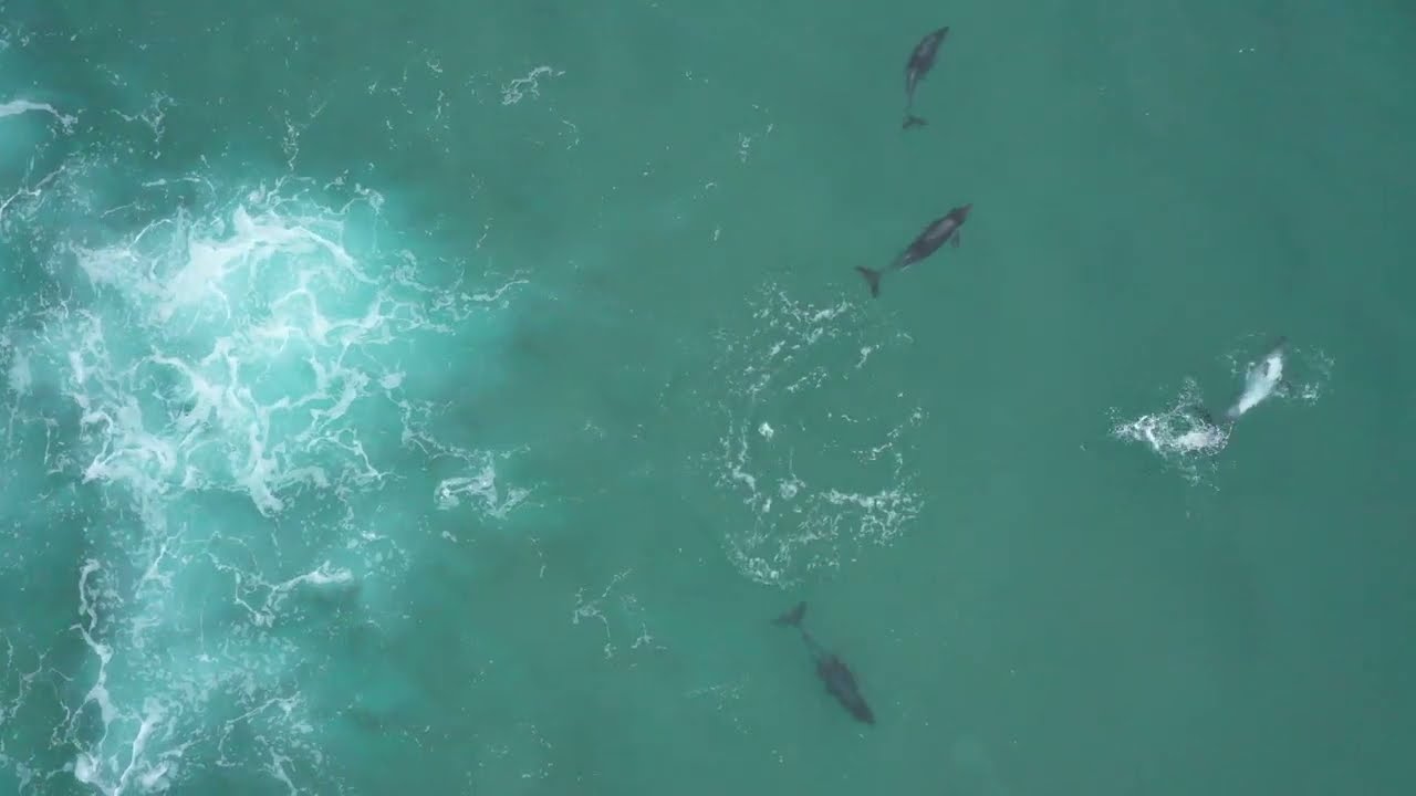 Toninas overa en festejos de verano en Manquemapu