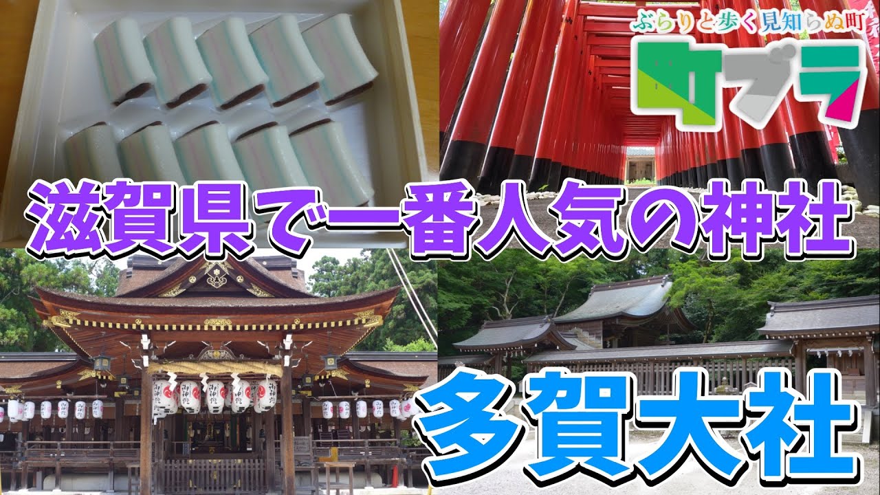 【滋賀県で一番人気の神社・多賀大社】滋賀県で一番人気のある神社、多賀大社に行ってきましたここは国生みと神生みの神、イザナギの命とイザナミの命を祀っています