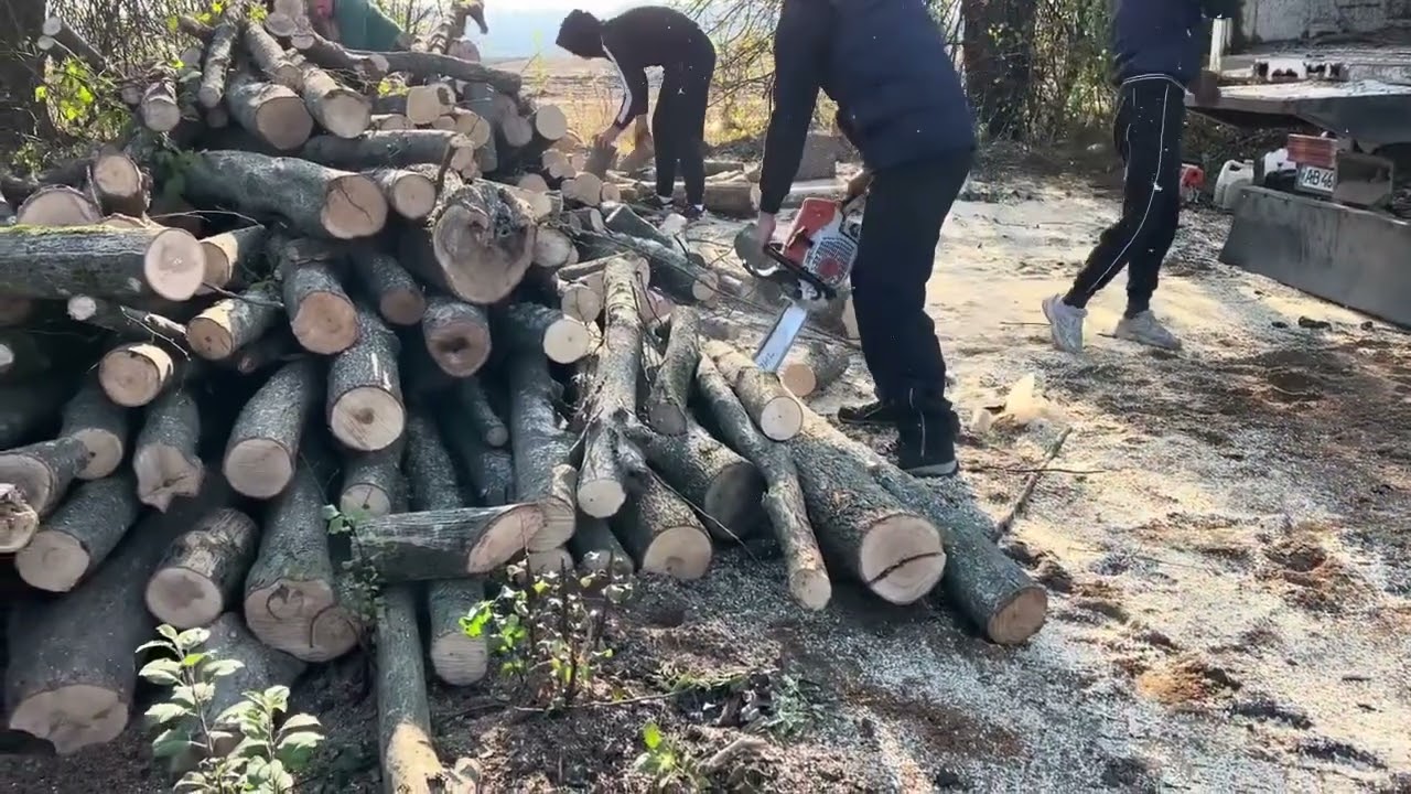 Firewood Production Day | Chainsaw & Raw Strength