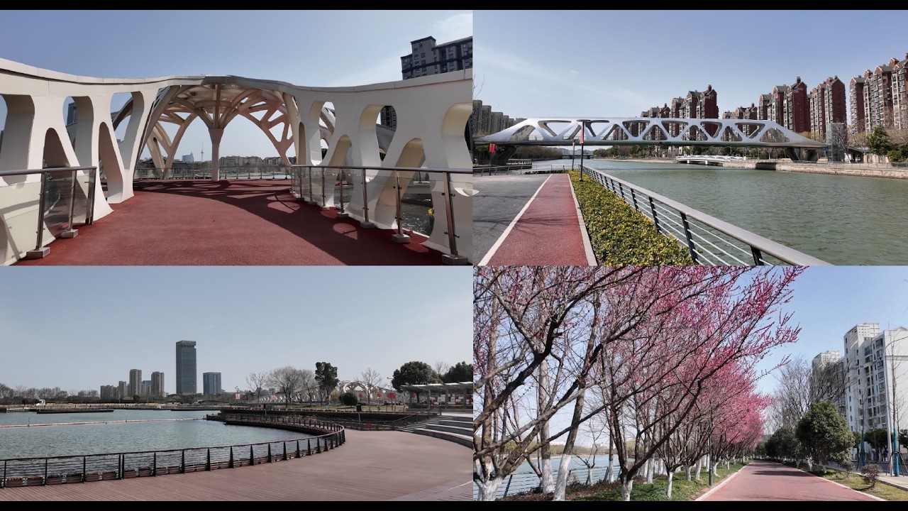 青浦环城水系东北段 4K virtual run Qingpu 跑步机风景vlog毛河泾 长岛公园 城中北桥 智慧湖公园 上达河 华浦路桥 同三公路桥 油墩港 崧泽遗址公园 上海跑步路线 260223