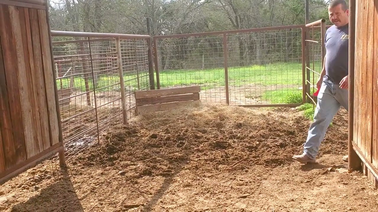 Andamos  haciendo  unos mandados  y nos fuimos a dar de comer a los caballos.