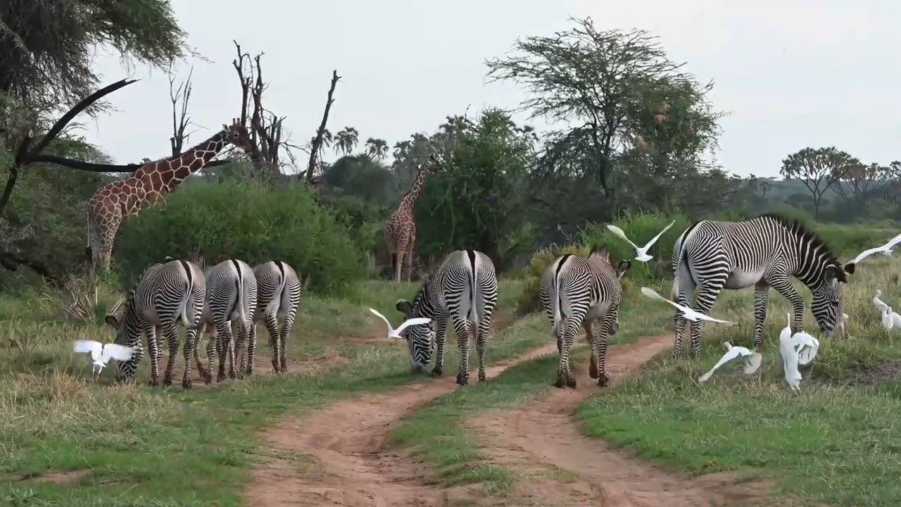 Trailer Vorträge 2026