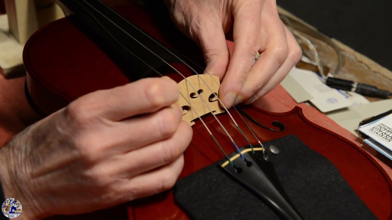 Ponticello di violino parte quinta - Montatura provvisoria delle corde