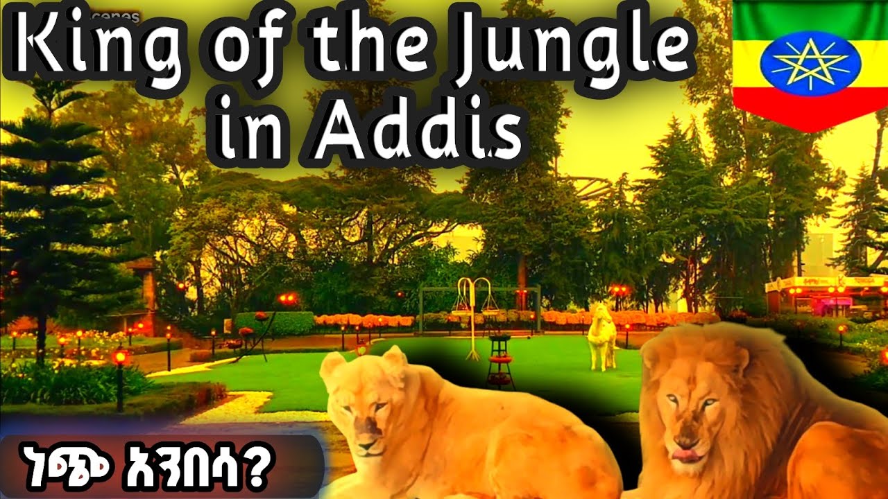 Two Beautiful Parks in Addis Ababa | Arada Park & Unity Park 2025