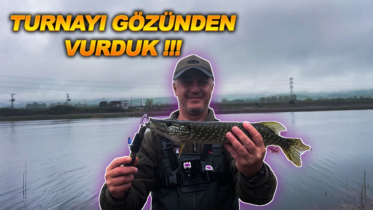 TURNA AVI - TURNA AVINDA KULLANILAN SAHTELER - SAMSUN TURNA AVI - 2023 TURNA AVI