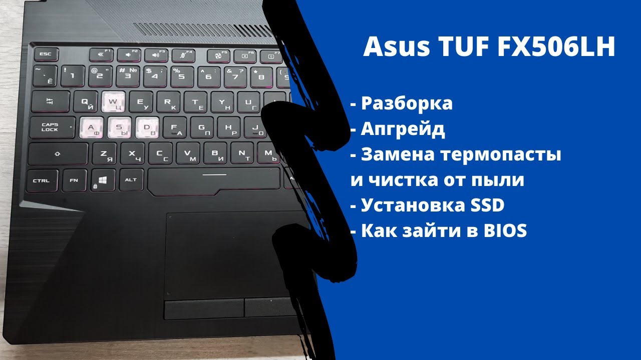 Как разобрать Asus TUF FX506LH обслуживание ,апгрейд, как зайти в BIOS