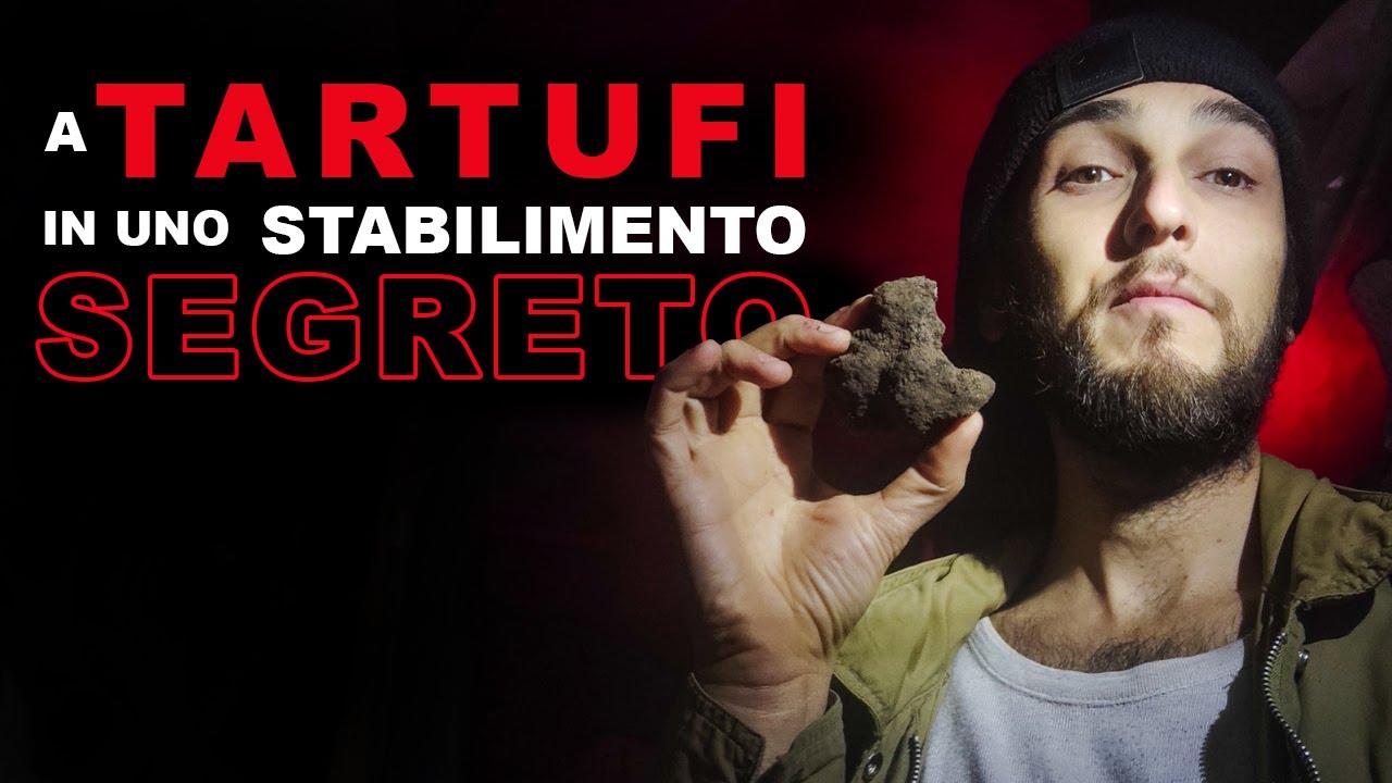 A TARTUFI in uno stabilimento ABBANDONATO - Le avventure di Akela e il Branco (Ep. 16)