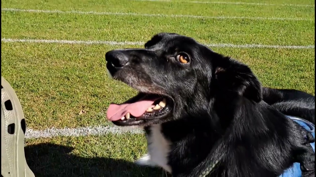 The 2025 Inverness Highlands Games