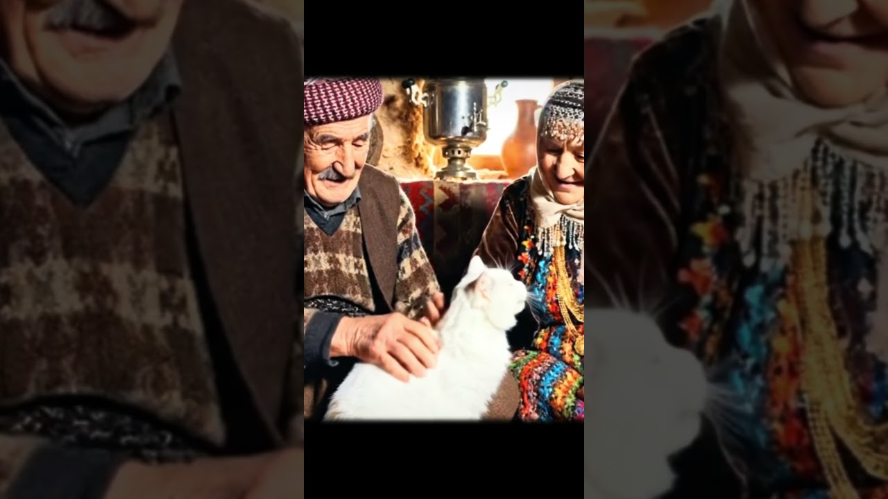 Xat&ucirc;na ber dil&ecirc; min #song