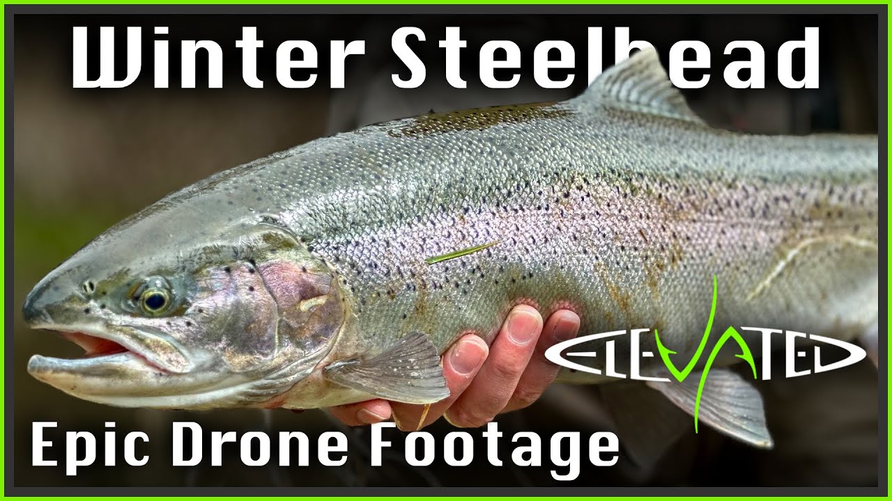 Winter Steelhead Adventure 2023 | Epic Drone Footage | Day 1