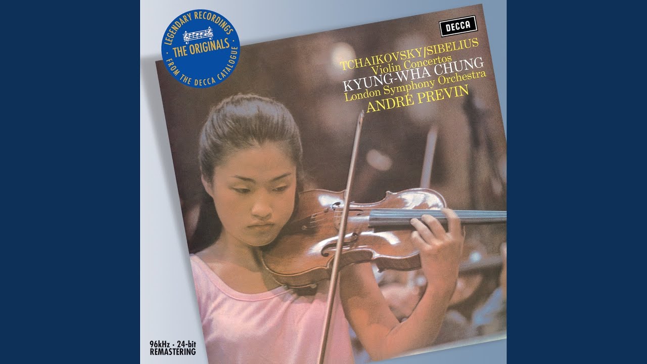 Sibelius: Violin Concerto in D Minor, Op. 47: I. Allegro moderato