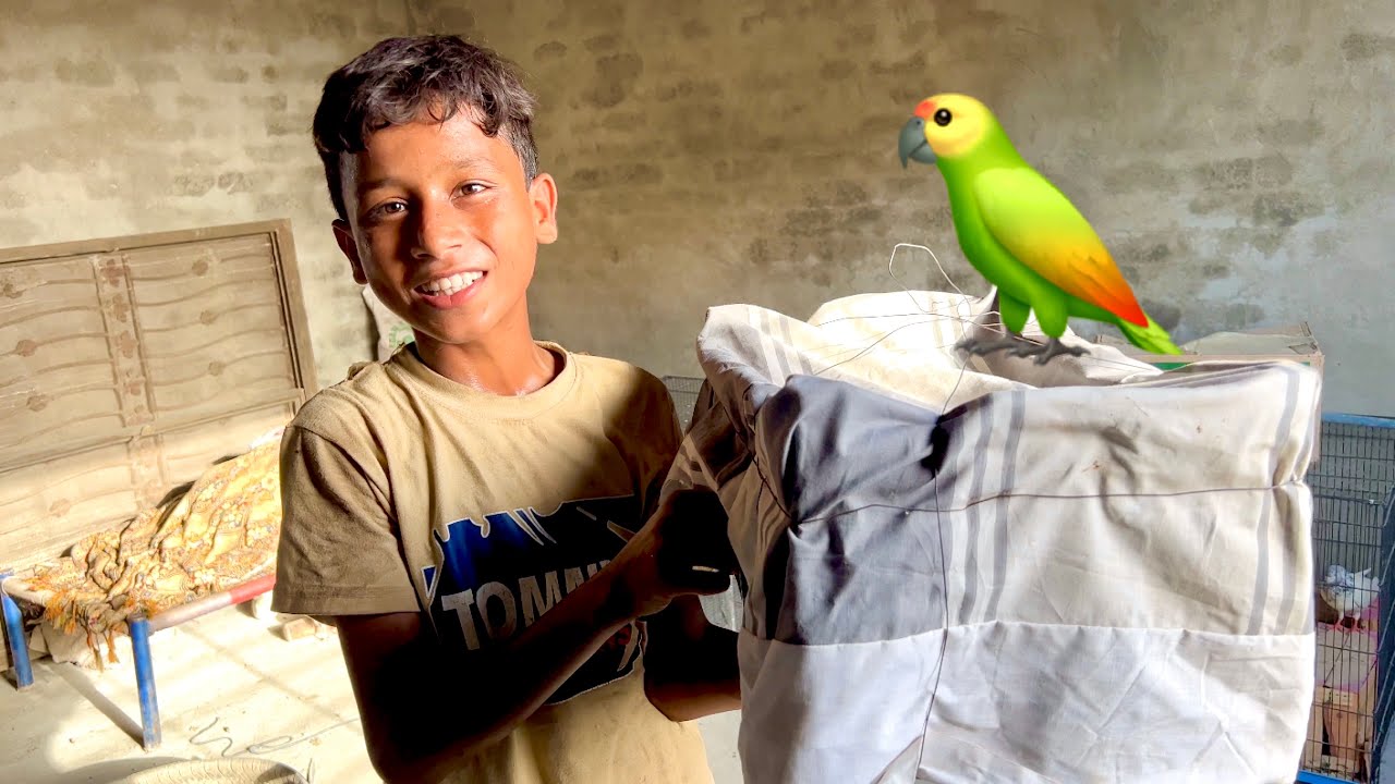 My New Parrot 🦜😍 | Dawood Sabir Vlogs