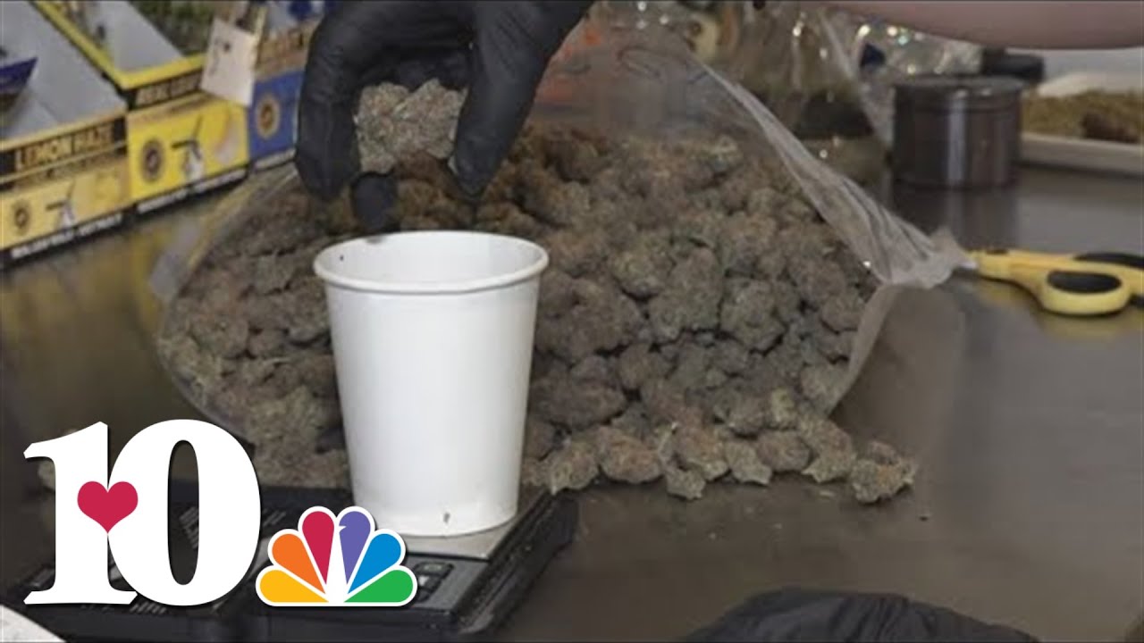 Doctors treating hundreds of kids for cannabis poisoning