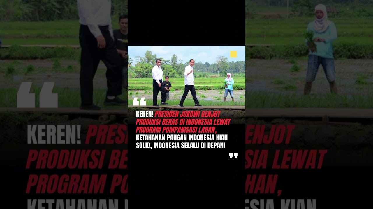 PRESIDEN JOKOWI GENJOT PRODUKSI BERAS DI INDONESIA LEWAT PROGRAM POMPANISASI LAHAN, INDONESIA SOLID!