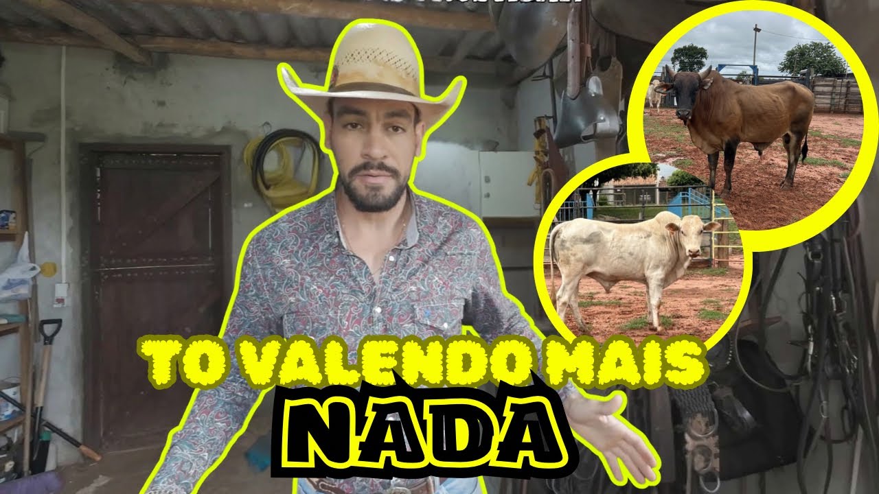 PAREI DE MEXER COM RODEIO? #vidar&uacute;stica