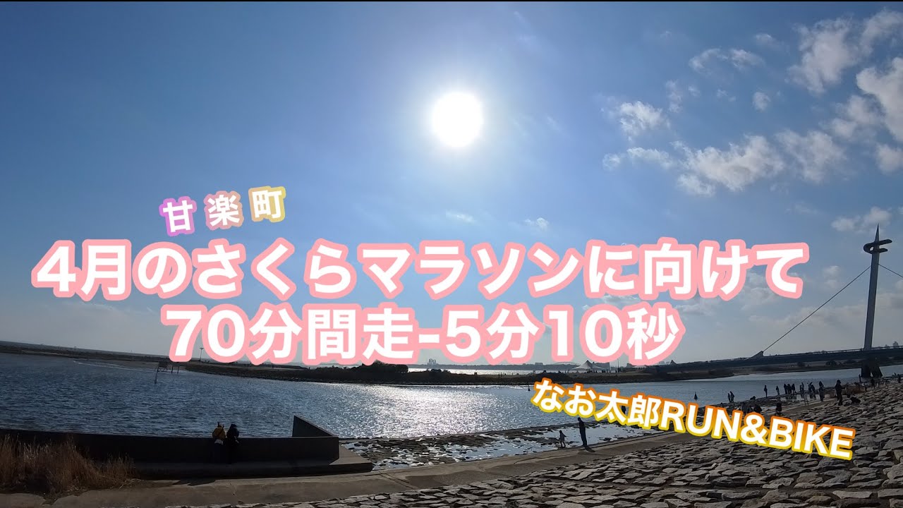 4月の「第43回甘楽町さくらマラソン」に向け70分間走してみた..　#おじさんジョグ#葛西臨海公園周遊#2月