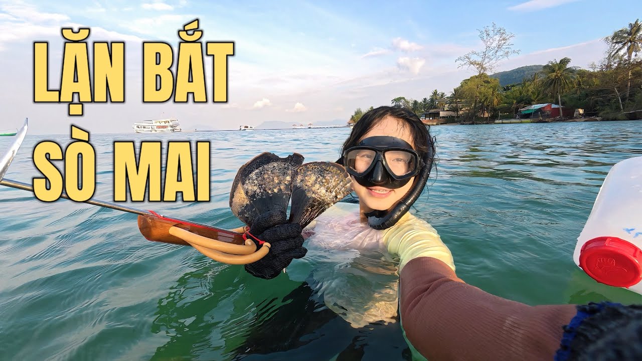 Lặn bắt sò mai tại bãi biển sau nhà. Khám phá cuộc sống trên đảo Phú Quốc