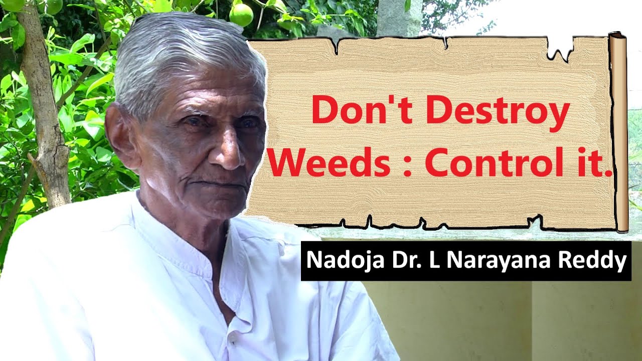 13 Don't Destroy Weeds : Control it | ಕಳೆನಾಶ ಬೇಡ: ಕೇವಲ ನಿಯಂತ್ರಿಸಿ || Dr. L. Narayana Reddy.