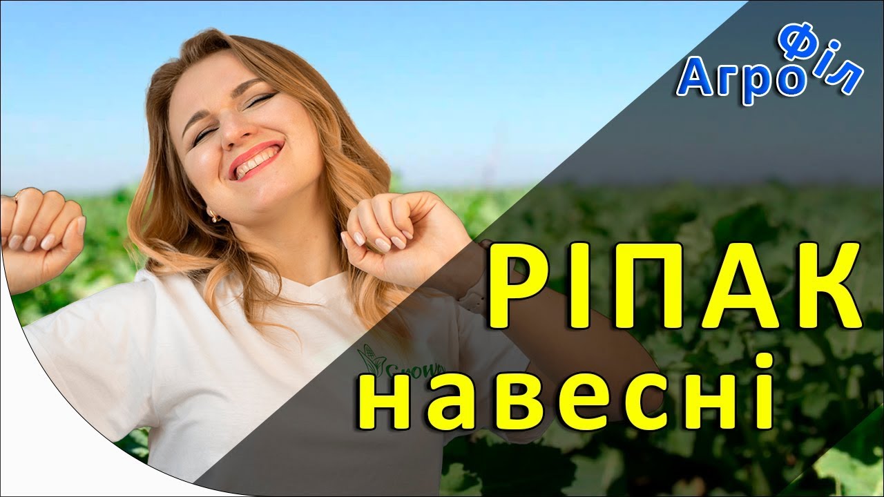 Система защиты и питания рапса весной. АгроФил 3