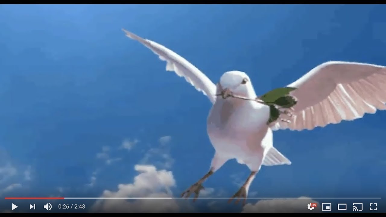 The Dove, The Olive Branch & The Land of Israel (Noah Torah Reading)