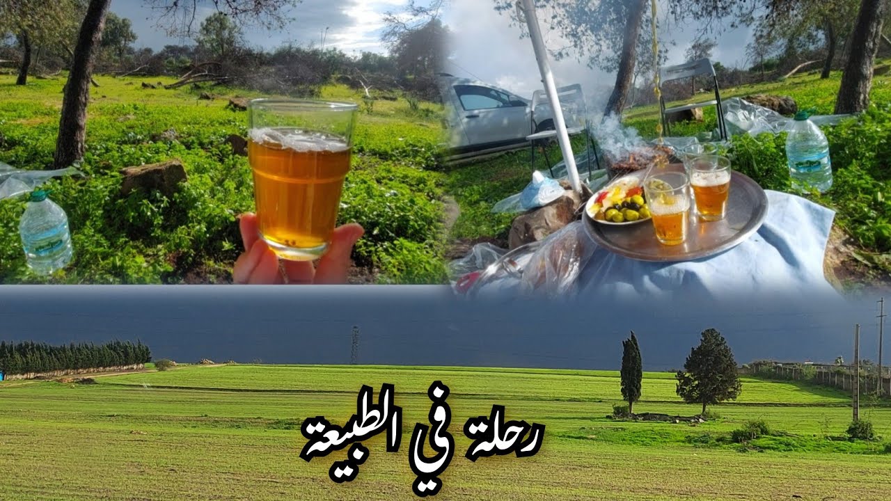 راحة النفسية🍀شُحنة وطاقة من الطبيعة