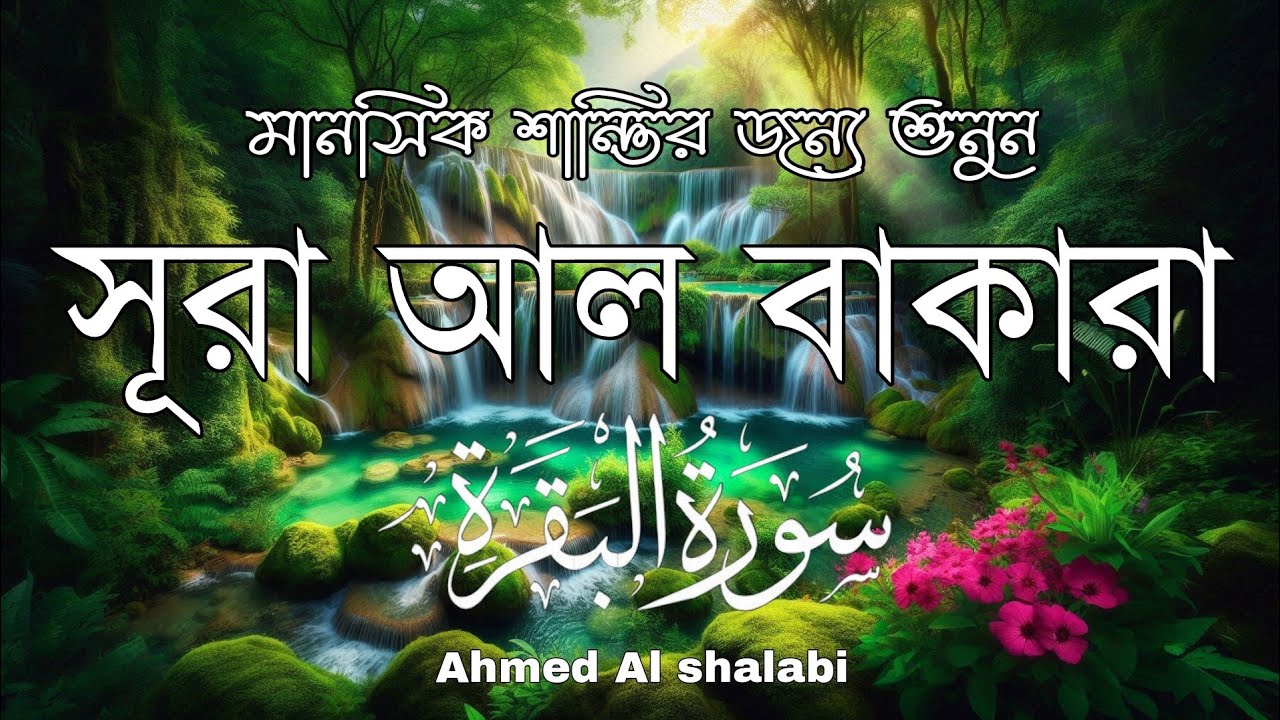 ঘরে শান্তি, নিরাপত্তা ও বরকতের জন্য শুনুন সূরা আল-বাকারা | Quran Recitation by Alaa Aqel