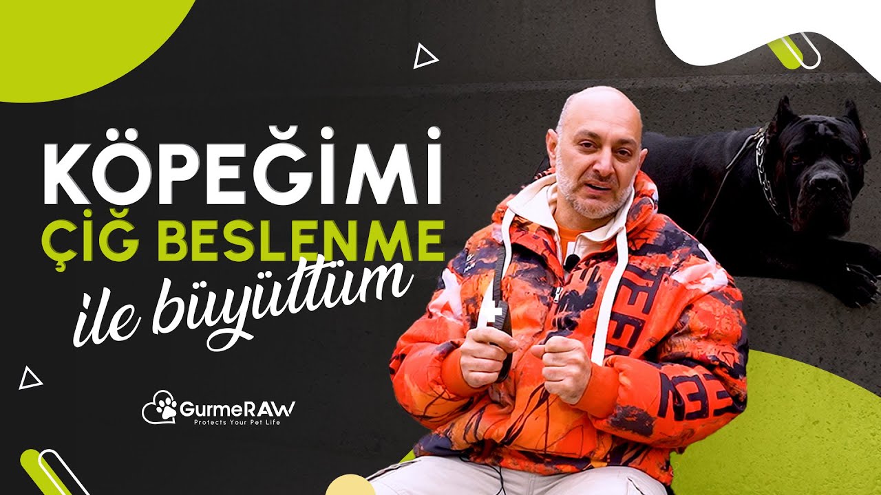 Köpeğimi ÇİĞ BESLENME ile büyüttüm! Aykut BİER / GurmeRAW Barf Mama