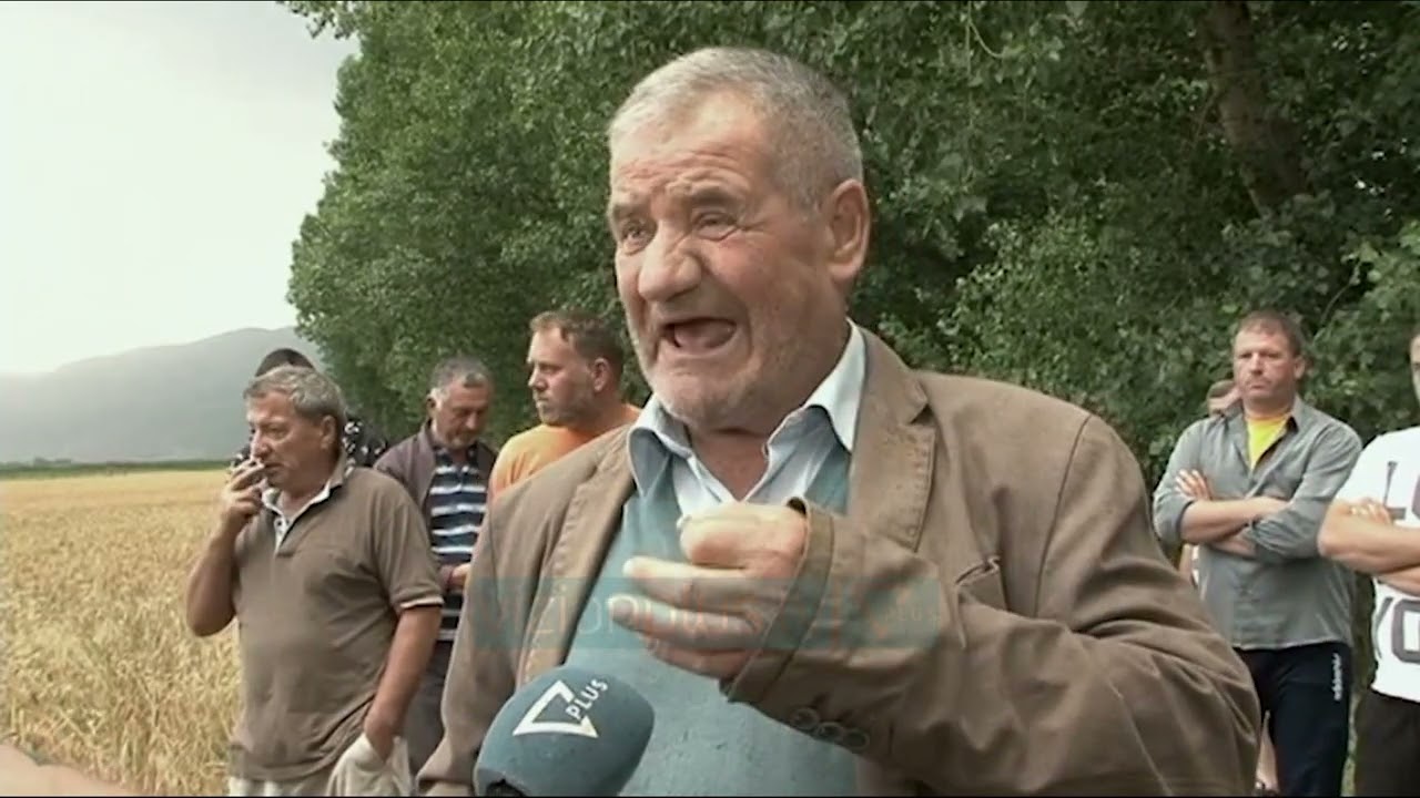 Bresheri demton grurin ne Maliq / Dhjetra fermere humbasin prodhimin - Vizion Plus