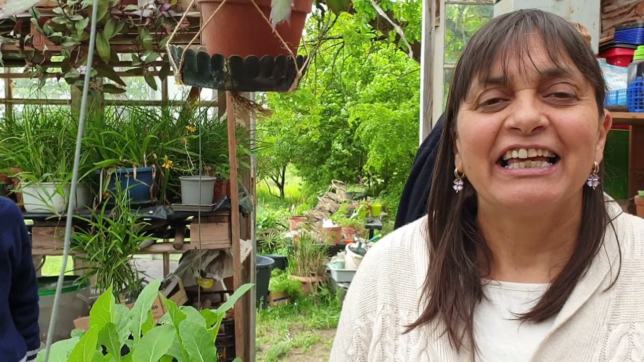 L'OASIS DU COQ A l'ÂME,      Un collectif animé par l’évidence d’un projet de transition écologique.