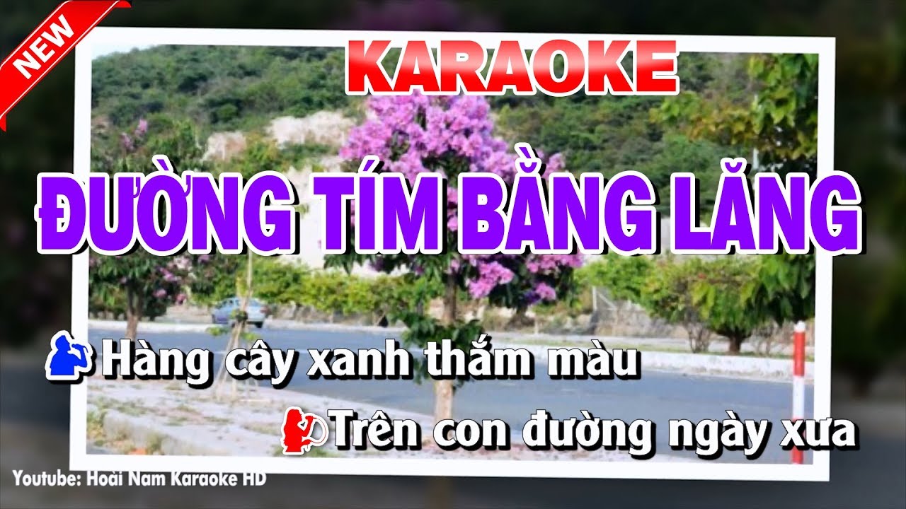 Karaoke Đường Tím Bằng Lăng ( Song Ca ) duong tim bang lang karaoke nhac song