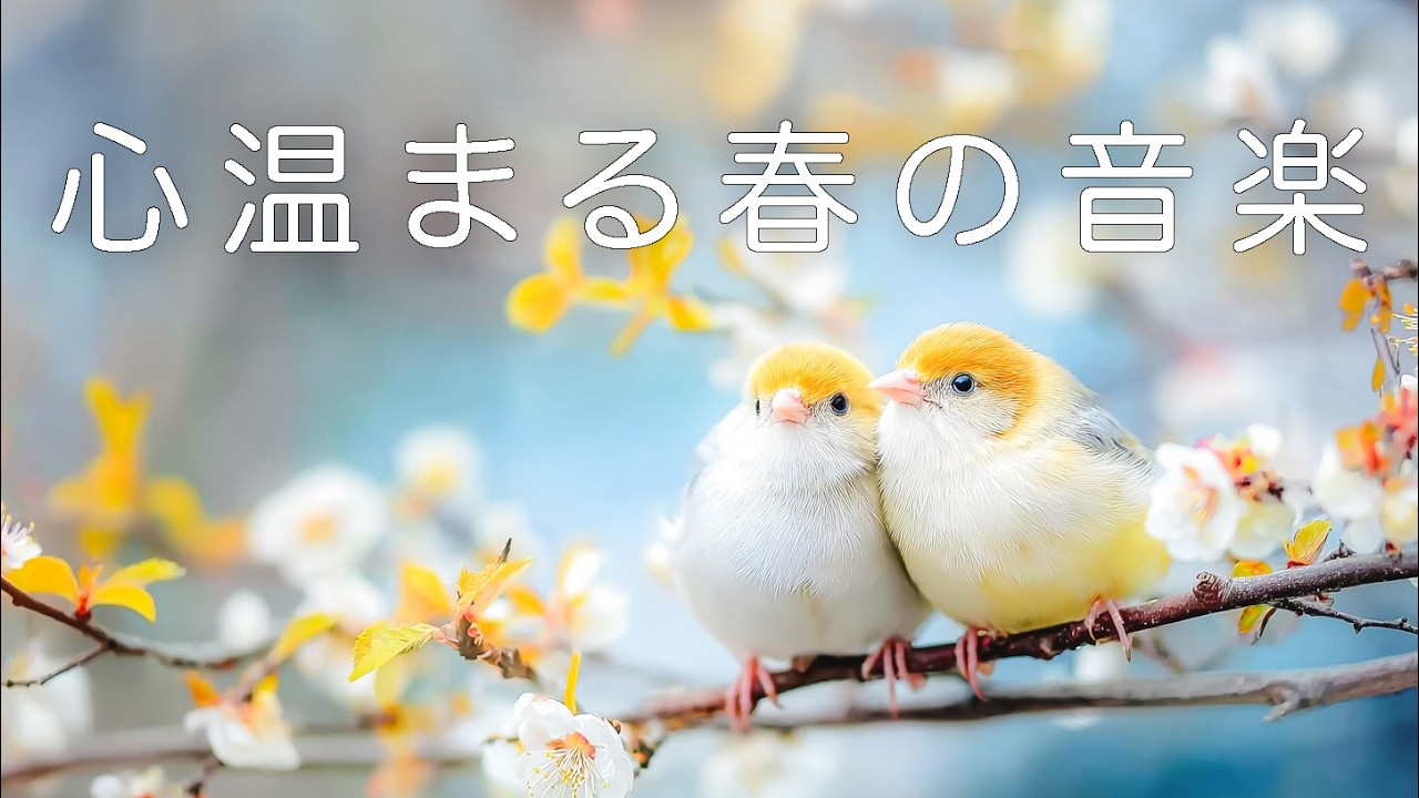 【癒し・作業用BGM】そっと自律神経を整える春のBGM｜癒されるピアノ音楽 – Healing Morning Music