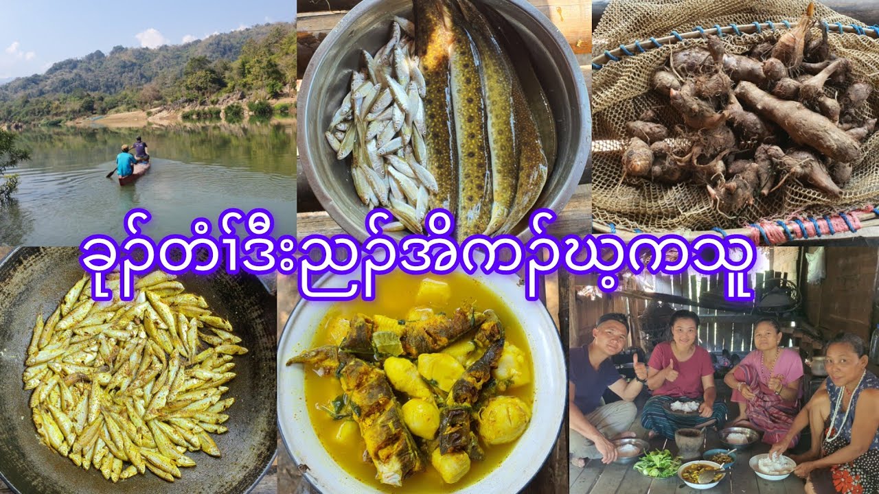 Karen taro and fish curry 