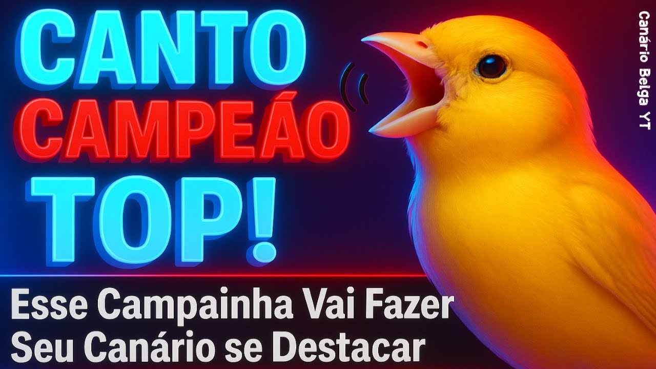 Canto CAMPAINHA de Campe&atilde;o! Vai Fazer Seu Can&aacute;rio se Destacar! ENCARTE TOP!