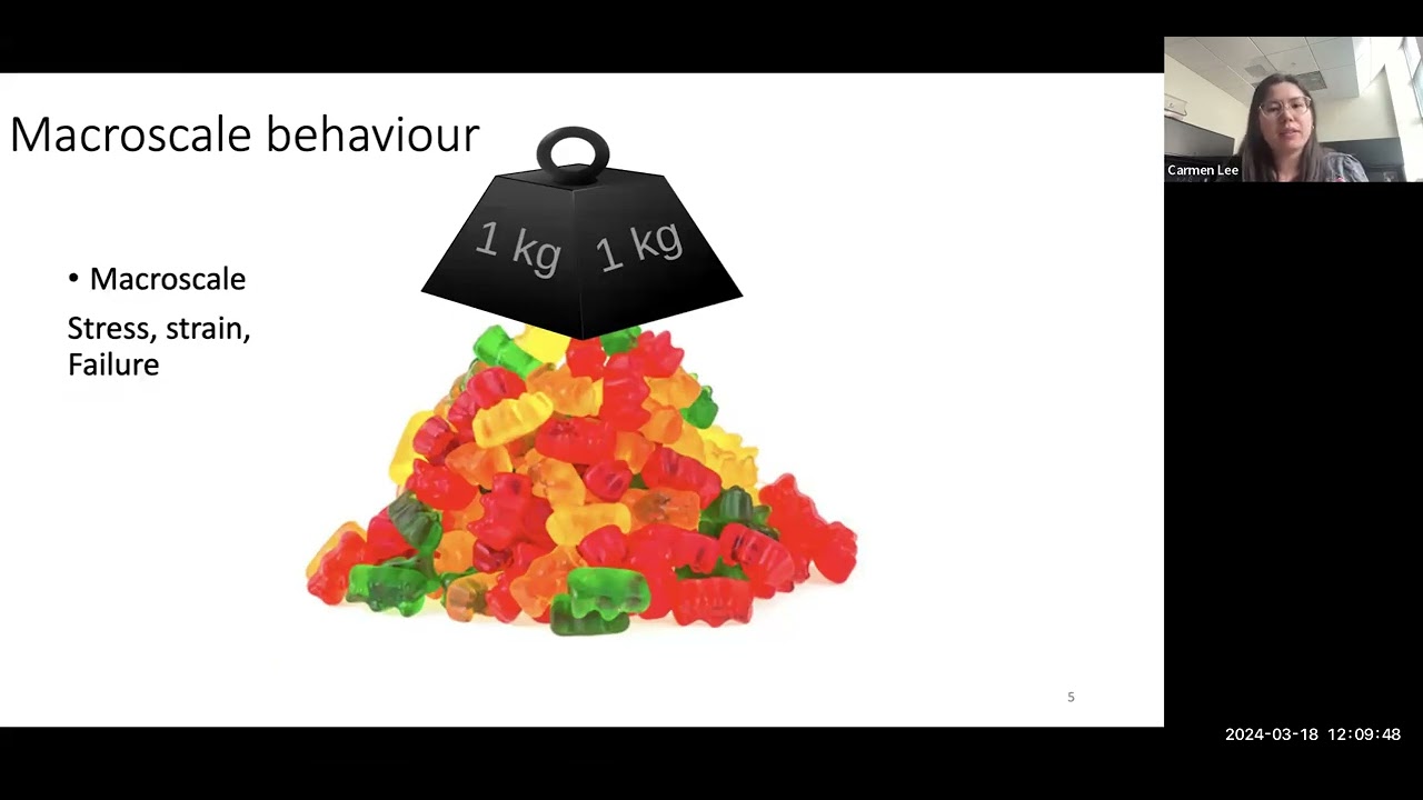 Dr. Carmen Lee: Relating the microscale to the macroscale in granular materials